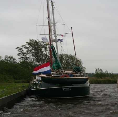 wind 9